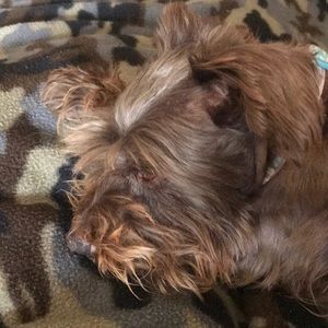 Meet your Posher, Jackie